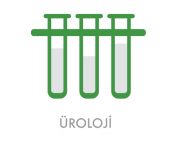 uroloji